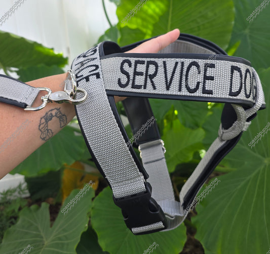 Y-front Harness