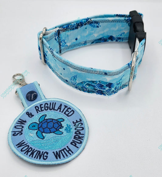 Collar & Tab set