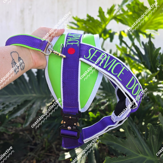 Inspired hybrid, pull, & buckle upgrade set