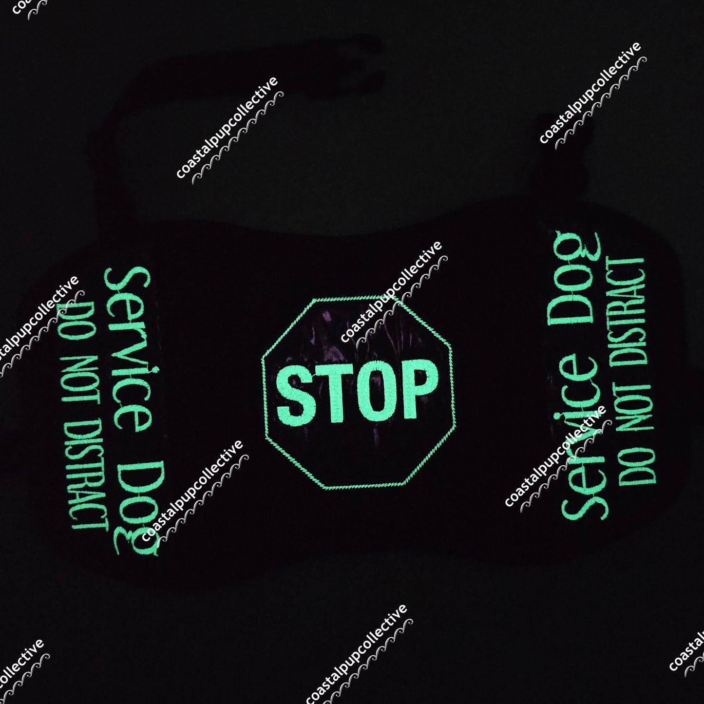 Glow mesh vest