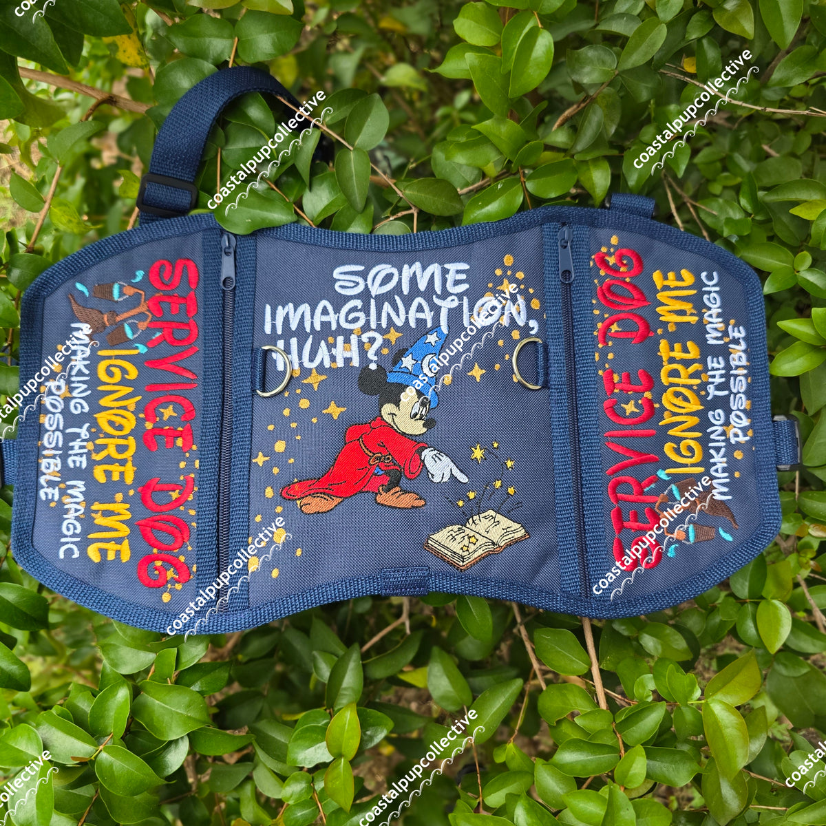Magical mouse inspired vest CLAIMS