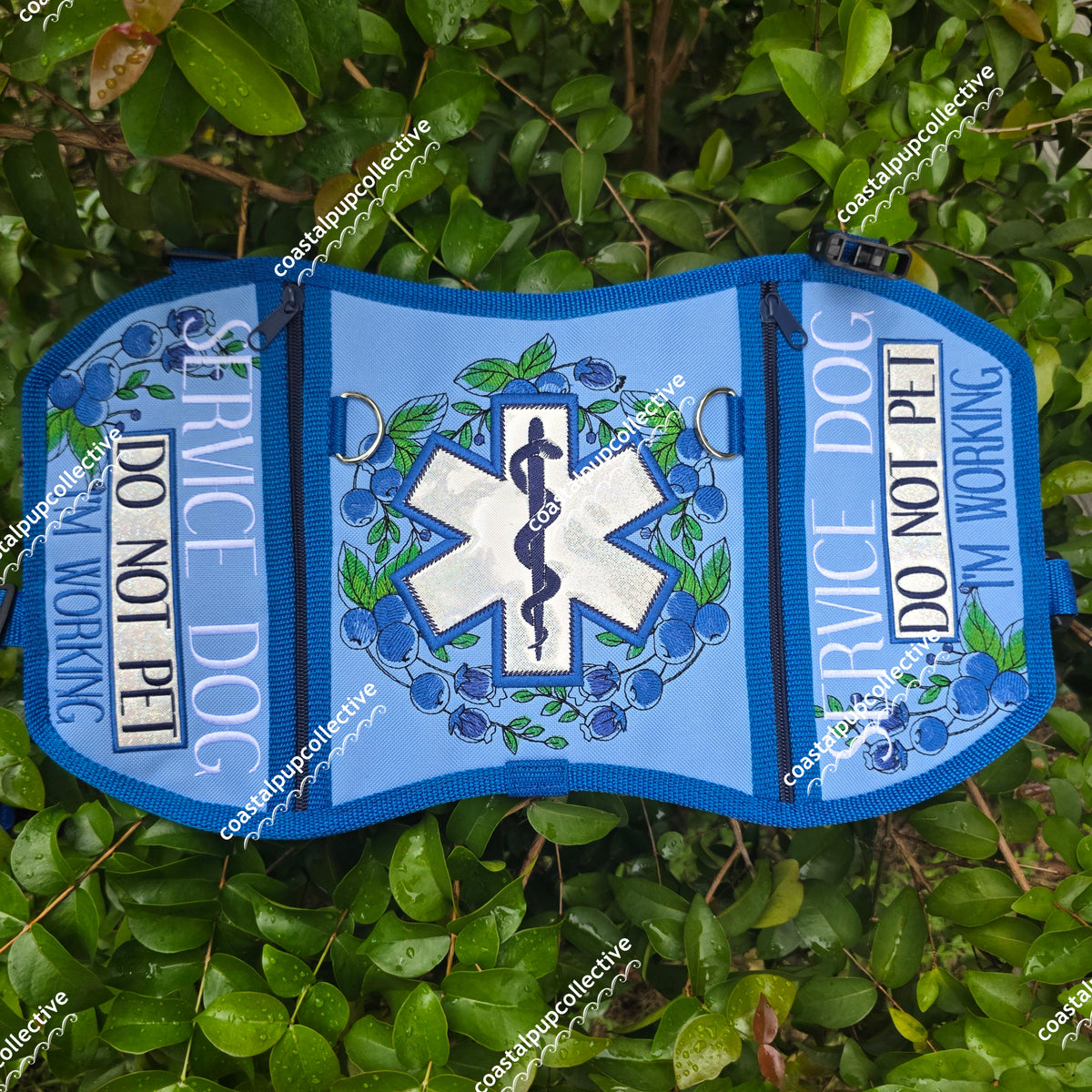 Blueberry cape CLAIMS