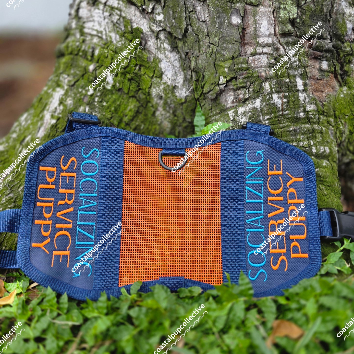 Socializing summer mesh vest